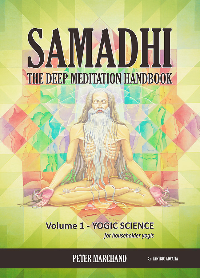 https://tantricadvaita.org/images/Samadhi%20cover%20paperback%20volume1%20front.png